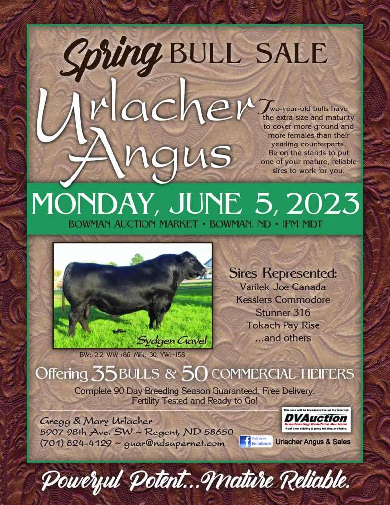 Urlacher Angus June 5 Sale